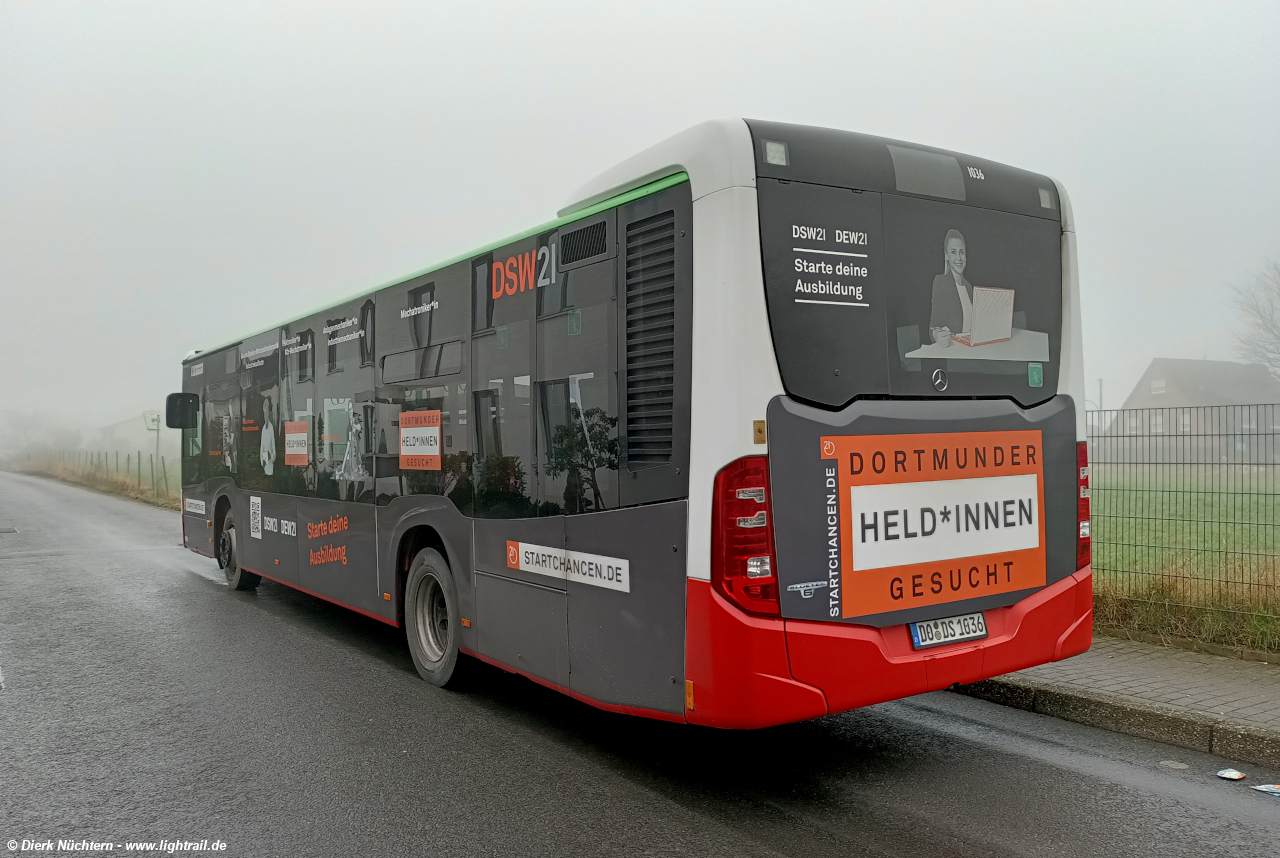 1036 (DO DS 1036) · Sommerberg Waldstraße