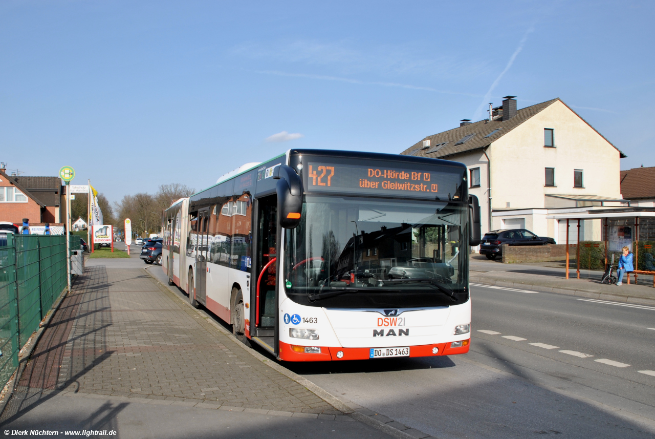 1463 (DO DS 1463) · Westholz