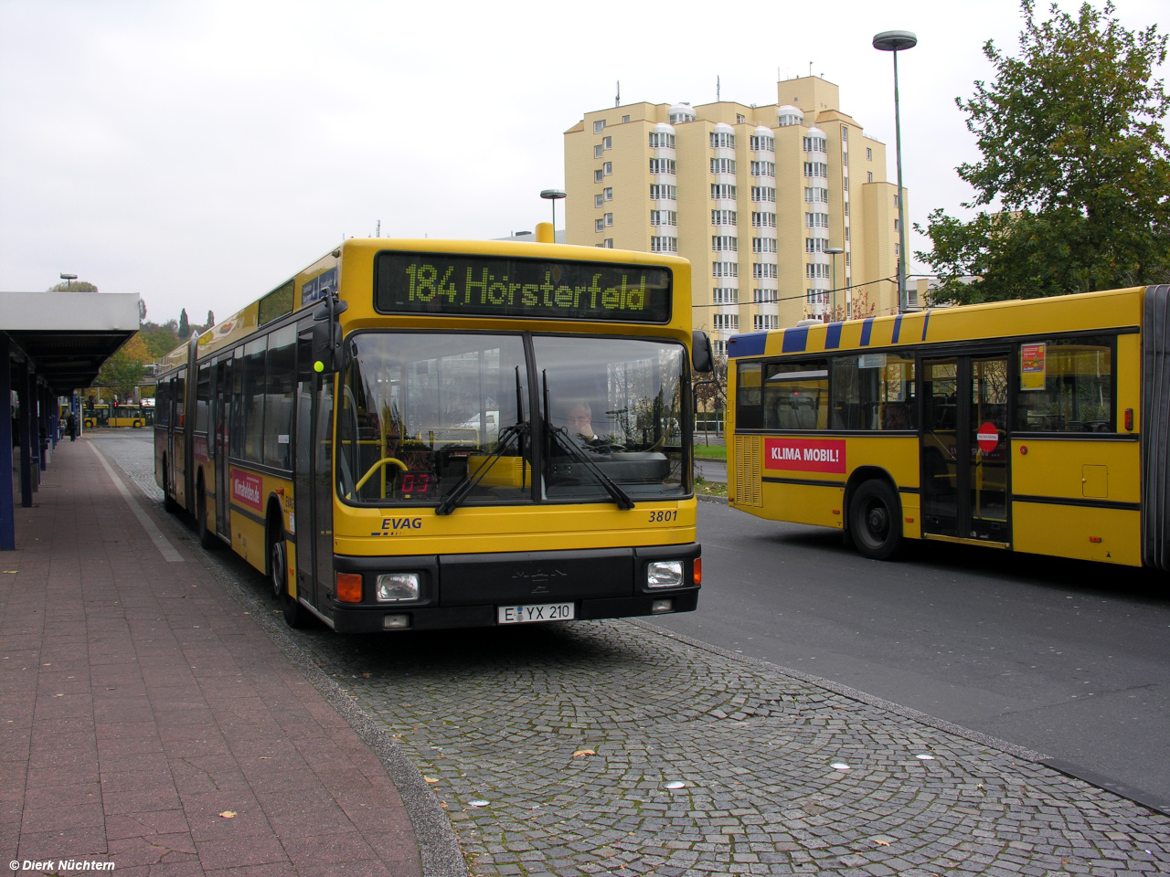 3801 (E YX 210) · E-Steele (S)