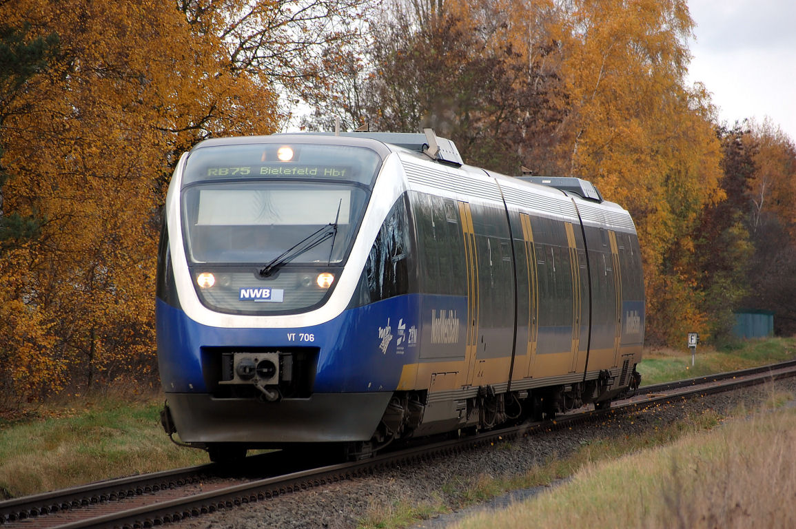 VT706 im Herbst