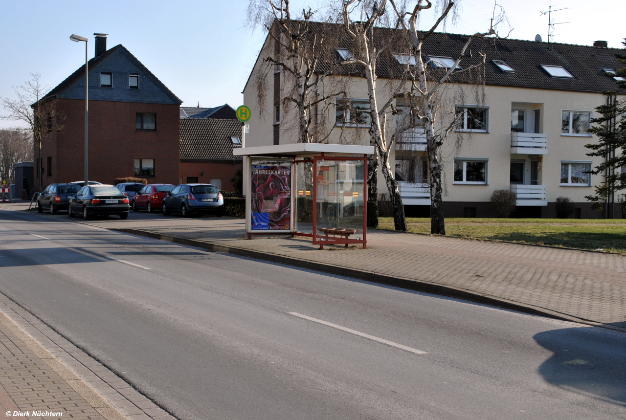 Am Brandhof, 11.02.2012