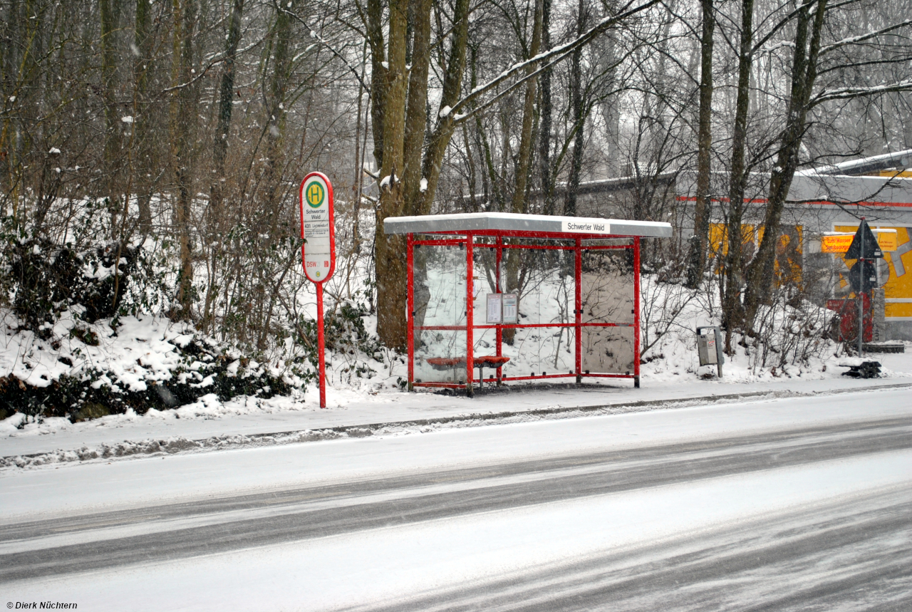 Schwerter Wald, 20.01.2013