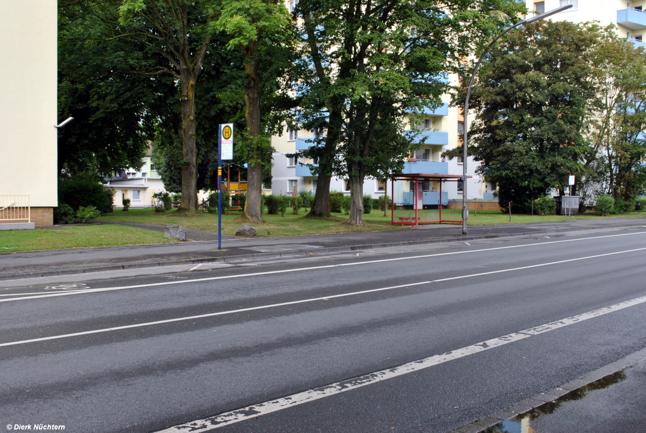 Kamen Westring, 07.08.2015