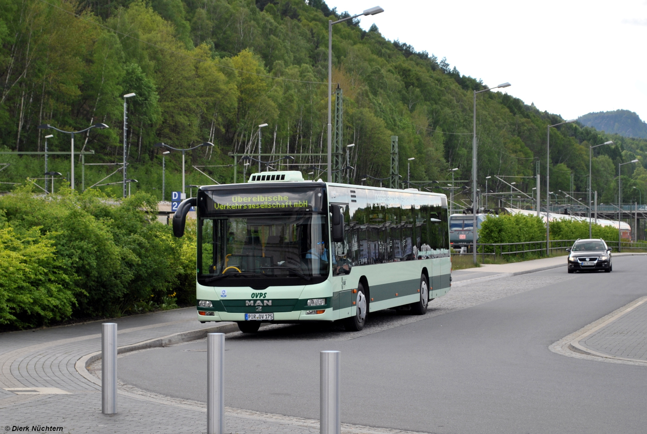 PIR OV 175 · Bad Schandau Bf.