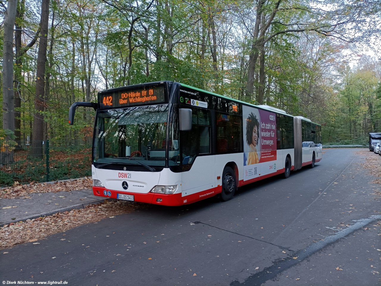 1403 (DO DS 1403) · Reichsmark