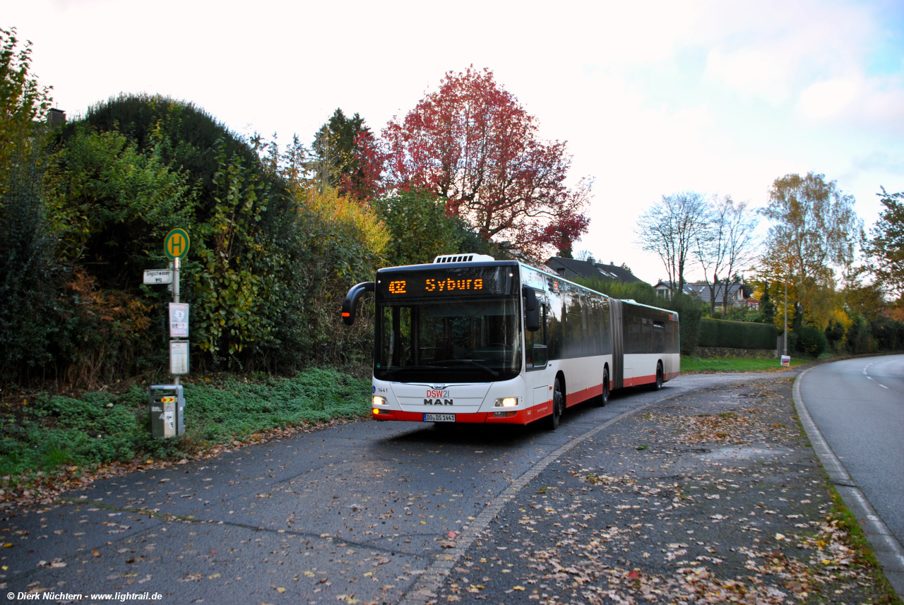 1441 (DO DS 1441) · Singschwanenweg