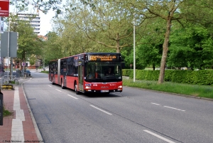 774 (KI-VG 774) Schlossgarten