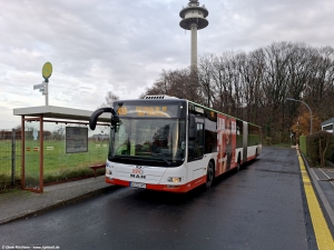 1450 (DO DS 1450) · Sommerberg, Waldstraße