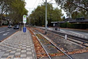 Erlestraße, 28.10.2018 Erlestraße, 28.10.2018