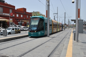02 El Cardonal
