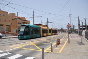 23 El Cardonal