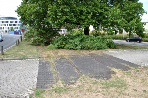 Frohnhauser Str. / Limbecker Platz, 29.07.2022 Frohnhauser Str. / Limbecker Platz, 29.07.2022