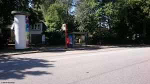 Philosophenweg, 14.07.2017 Philosophenweg, 14.07.2017
