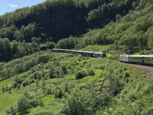 18 2262 zwischen Flam und Myrdal