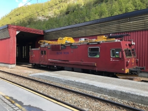 30-38-0018 Myrdal