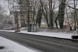 Am Grimmelsiepen, 26.01.2026 Am Grimmelsiepen, 26.01.2026