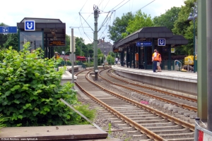 Fredenbaum, 22.06.2008