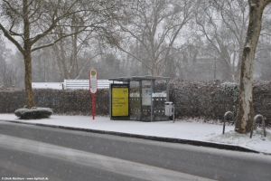 Hörde Friedhof, 26.01.2026 Hörde Friedhof, 26.01.2026