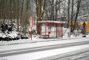 Schwerter Wald, 20.01.2013 Schwerter Wald, 20.01.2013