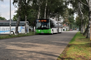 60 (HAM VK 360) · Maximilianpark (Pausenplatz)