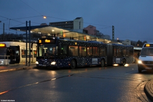 7356 (BI MO 7356) · Sieker [U]