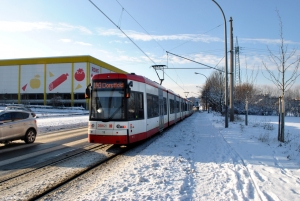 13 · Döringhoff