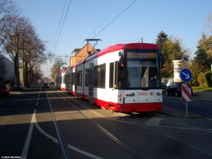 31 · In den Börten