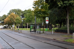 Bürgerpark, 13.10.2021 Bürgerpark, 13.10.2021