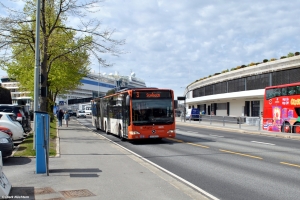 8605 (GA 10552) · Bontelabo