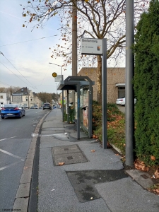 Obenflachsberg, 26.11.2022 Obenflachsberg, 26.11.2022