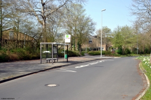 Reinhold-Schneider-Straße, 01.04.2021 Reinhold-Schneider-Straße, 01.04.2021