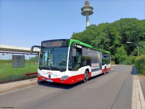 1072 (DO DS 1072) · Sommerberg, Waldstraße