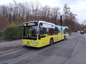1334 (DO DS 1334) · Derne, Am Wittfeld