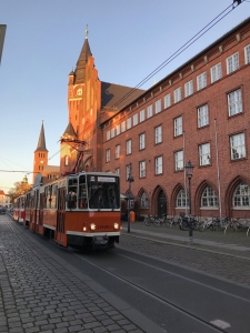 219 481 + 482 Rathaus Köpenick