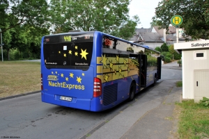 1254 (DO DS 1254) · Salingen