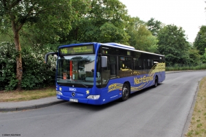 1254 (DO DS 1254) · Salingen
