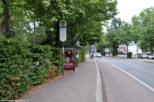 Herford Gänsemarkt, 22.07.2022