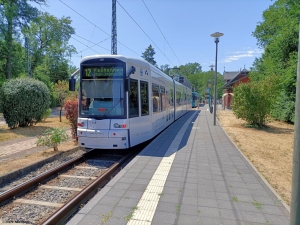 272 · Schwanheim, Rheinlandstraße