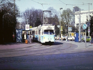613 - Zoo